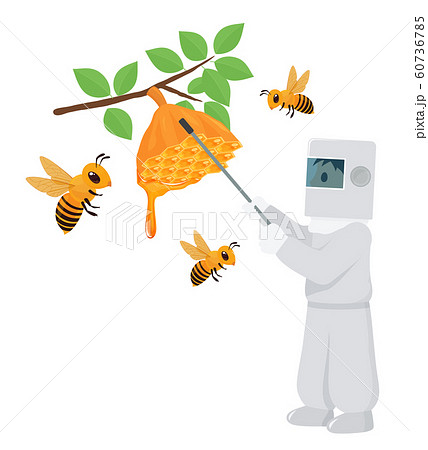 蜂蜜をとるイラスト 3匹のイラスト素材