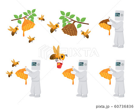 蜂蜜をとるイラスト_セット 60736836