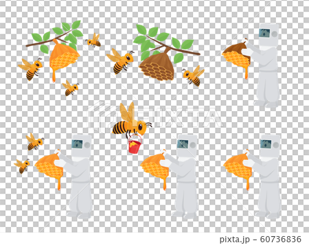 蜂蜜をとるイラスト_セット 60736836