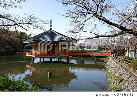 奈良　安倍文殊院・金閣浮御堂 60736843