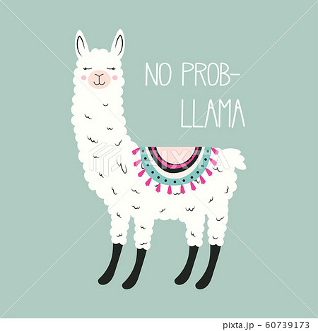 cute llama isolated 60739173
