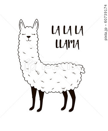cute llama isolated 60739174