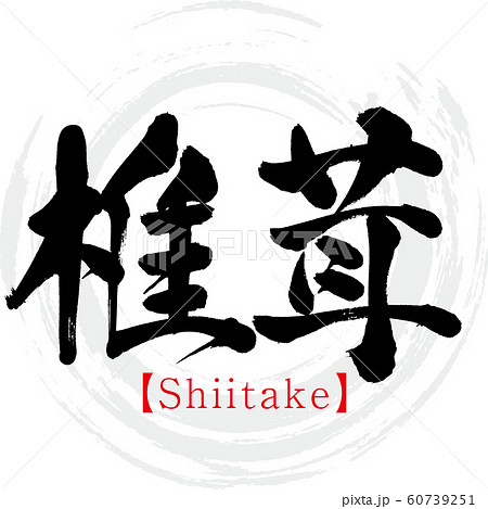 椎茸 Shiitake 筆文字 手書き のイラスト素材