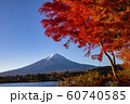 Mount Fuji in Autumn 60740585