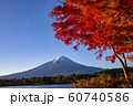 Mount Fuji in Autumn 60740586