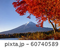 Mount Fuji in Autumn 60740589