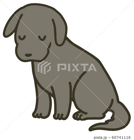 子犬のイラスト 目を閉じるのイラスト素材 60741116 Pixta
