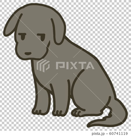 子犬のイラスト ジト目のイラスト素材 60741119 Pixta