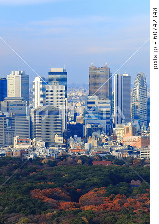 東京都 秋の代々木公園と新宿副都心の写真素材