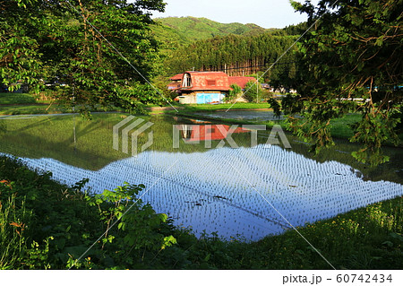 岩手遠野　日本の原風景　新緑の季節 60742434
