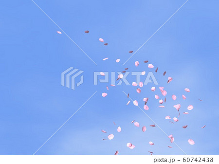 桜吹雪と空 60742438