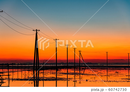 夕暮れの海中電柱 60742730