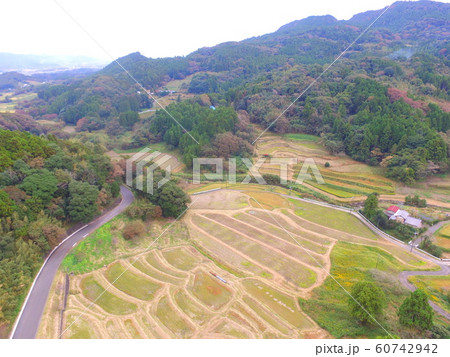 鴨川大山千枚田〜ドローンで空撮(千葉県鴨川市平塚) 鴨川大山千枚田〜ドローンで空撮(千葉県鴨川市平塚) 60742942