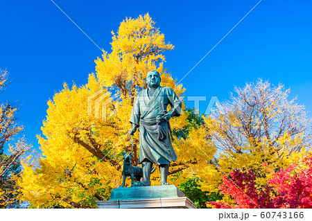 東京 上野公園 紅葉と西郷隆盛像 東京 上野公園 紅葉と西郷隆盛像 60743166