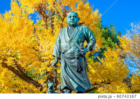 東京　上野公園　紅葉と西郷隆盛像 60743167