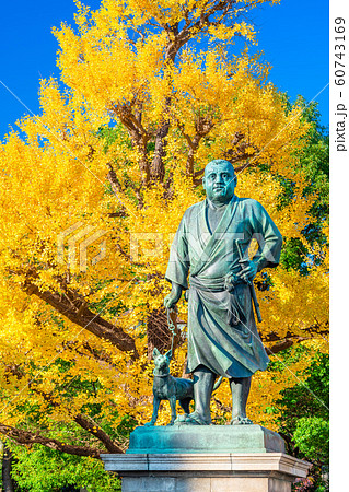 東京 上野公園 紅葉と西郷隆盛像 東京 上野公園 紅葉と西郷隆盛像 60743169