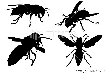 動物シルエット昆虫等ハチのイラスト素材