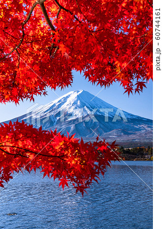 《山梨県》日本の秋・富士山と紅葉 《山梨県》日本の秋・富士山と紅葉 60744161