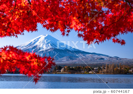 《山梨県》日本の秋・富士山と紅葉 《山梨県》日本の秋・富士山と紅葉 60744167