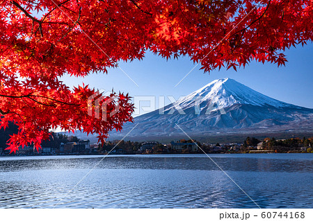 《山梨県》日本の秋・富士山と紅葉 60744168