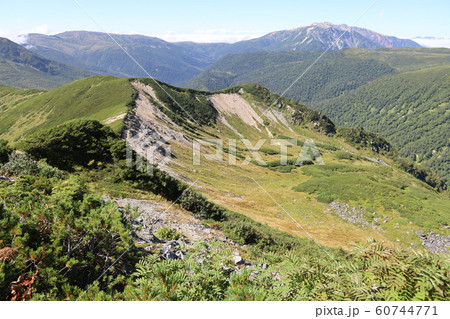 黒部五郎岳に至る登山道からの薬師岳 60744771
