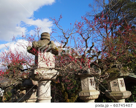 京都の風景（北野天満宮） 60745407