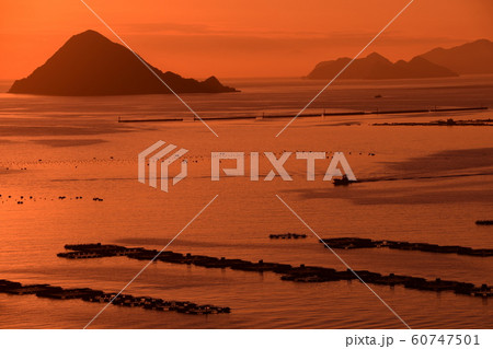 愛媛宇和島 宇和海に浮かぶ男島 愛媛宇和島 宇和海に浮かぶ男島 60747501