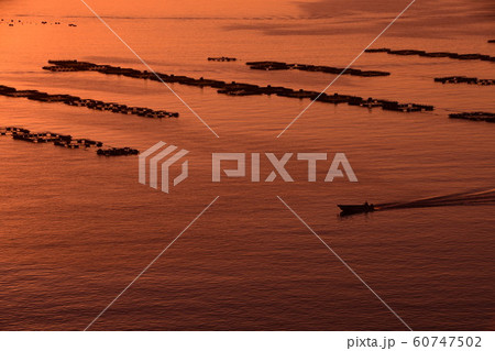 宇和海の養殖筏 宇和海の養殖筏 60747502