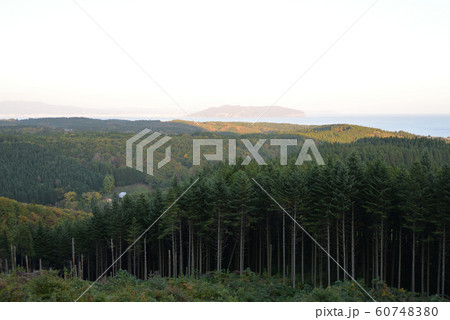 トラピスト修道院 ルルドの洞窟からの眺望 60748380