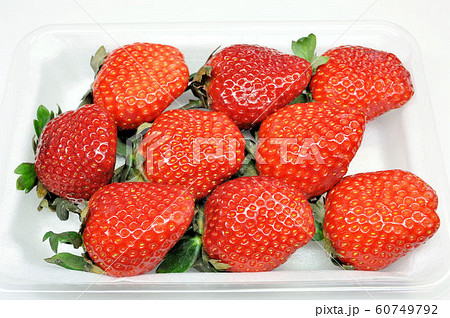ミガキイチゴ 60749792