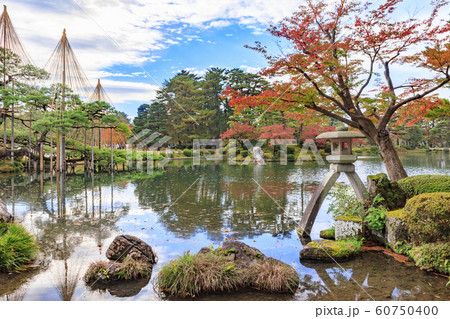 兼六園 紅葉 兼六園 紅葉 60750400