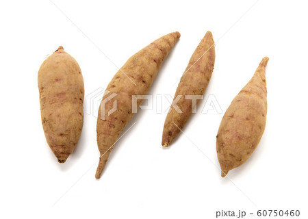 からゆたか からゆたか 60750460