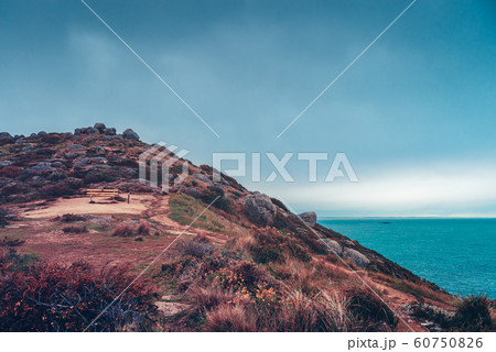 Petrel Cove during winter Petrel Cove during winter 60750826
