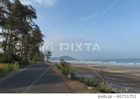 Velas Beach known for Oliver Ridley Turtles, Raigad, Maharashtra, India 60751751