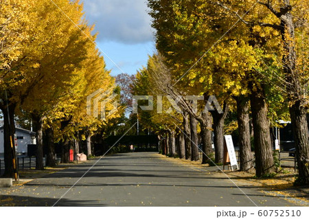 伊勢　神宮工作所　銀杏 60752510