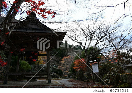 泰運寺　紅葉 60752511