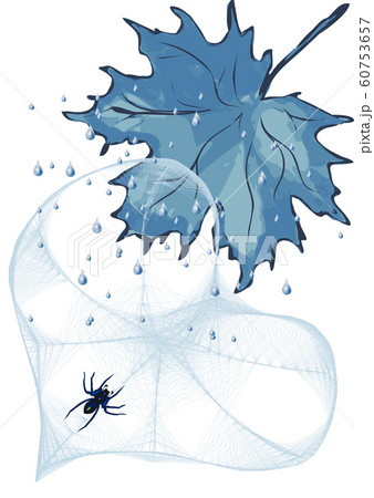 spider webs as heart 60753657