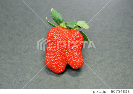 きらぴ香 きらぴ香 60754838