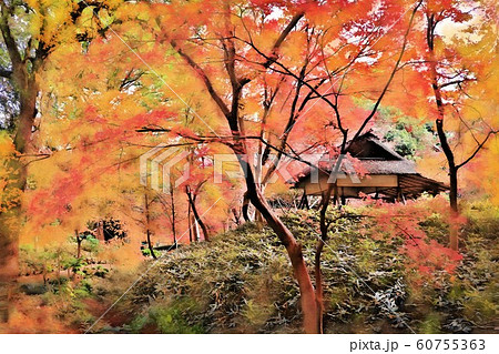 六義園の紅葉。晩秋（12月）東京都文京区 60755363
