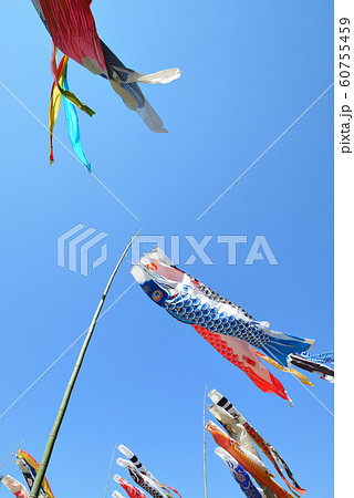 鯉のぼり 60755459