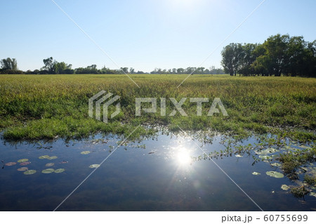 カカドゥ国立公園(Kakadu National Park) カカドゥ国立公園(Kakadu National Park) 60755699