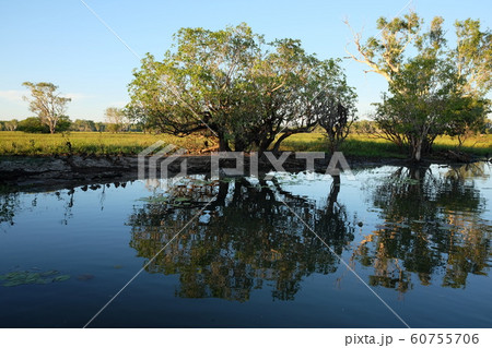 カカドゥ国立公園 Kakadu National Park の写真素材
