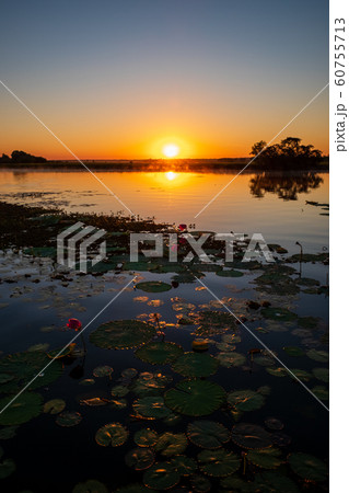 カカドゥ国立公園（Kakadu National Park） 60755713