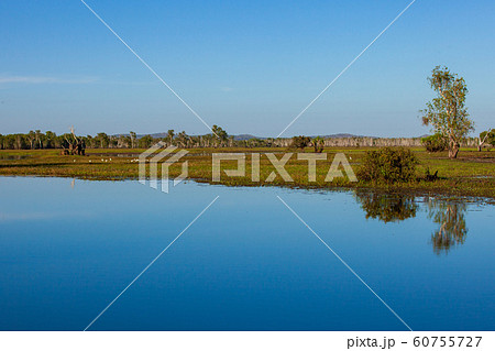 カカドゥ国立公園（Kakadu National Park） 60755727