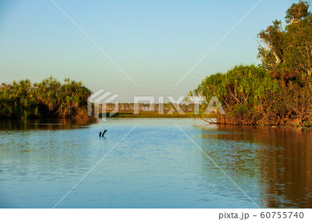 カカドゥ国立公園（Kakadu National Park） 60755740