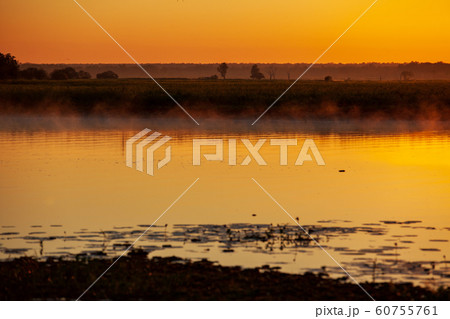 カカドゥ国立公園（Kakadu National Park） 60755761