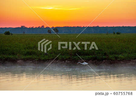 カカドゥ国立公園（Kakadu National Park） 60755768
