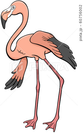 flamingo bird animal character cartoon flamingo bird animal character cartoon 60756002