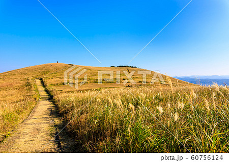 川内峠の秋景色・草紅葉　【長崎県平戸市】 60756124