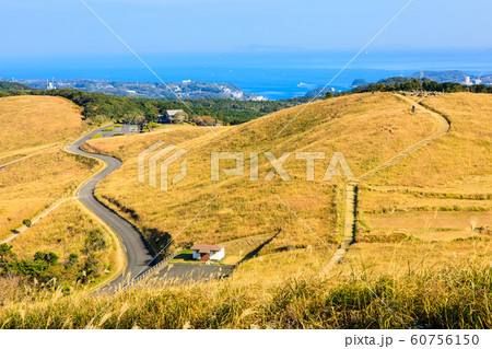 川内峠の秋景色・草紅葉　【長崎県平戸市】 60756150